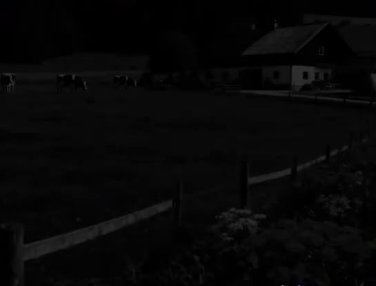 Weide met koeien en een boerderij in het donker, nauwelijks zichtbaar